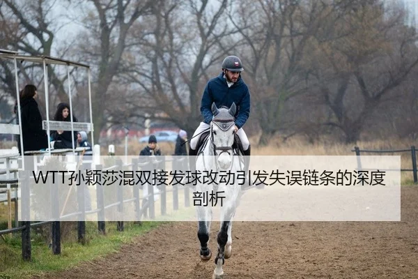 WTT孙颖莎混双接发球改动引发失误链条的深度剖析